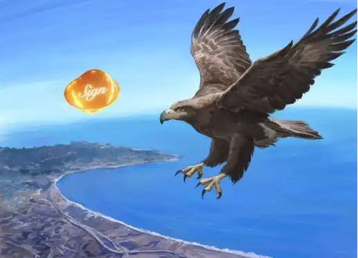 公开的密谋：如何将$SIGN推向1美元